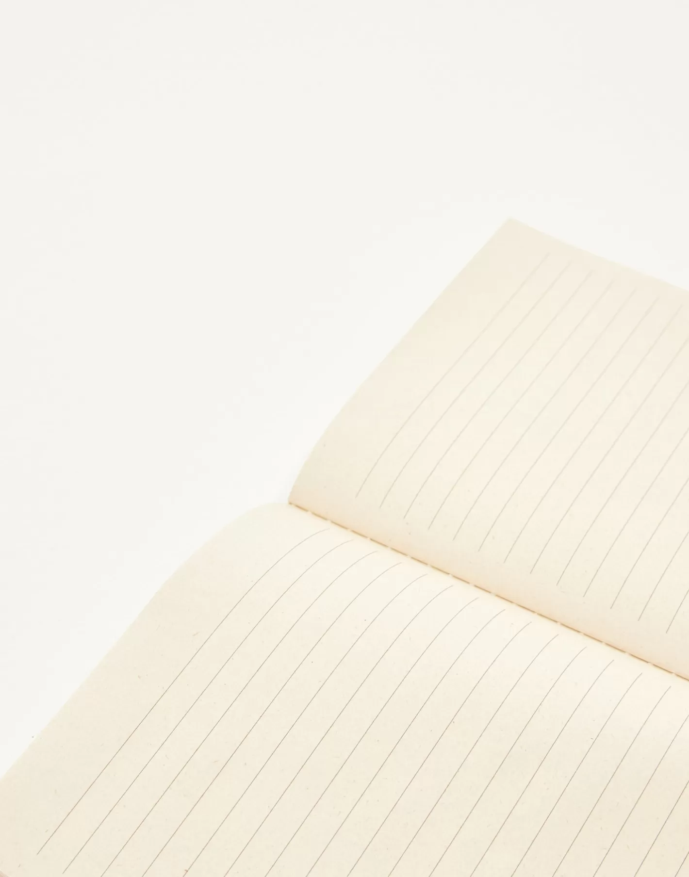Natura Selection A5 Notebook With Colored Spine