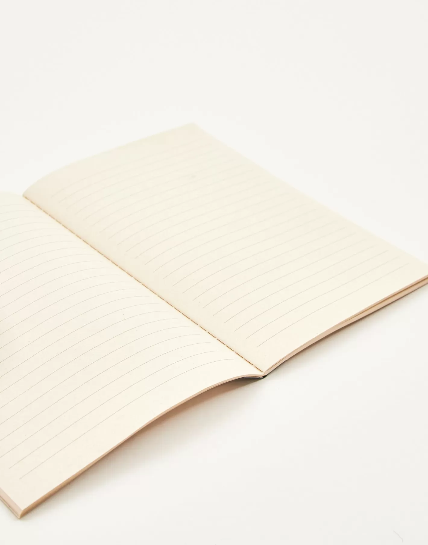 Natura Selection A5 Notebook With Colored Spine