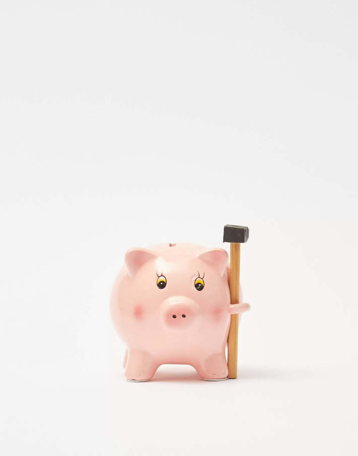 Natura Selection Piggy Bank With Hammer